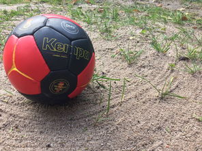 开云体育下载-中国篮球推动青少年比赛规则标准统一促进公平竞争，篮球青少年联赛